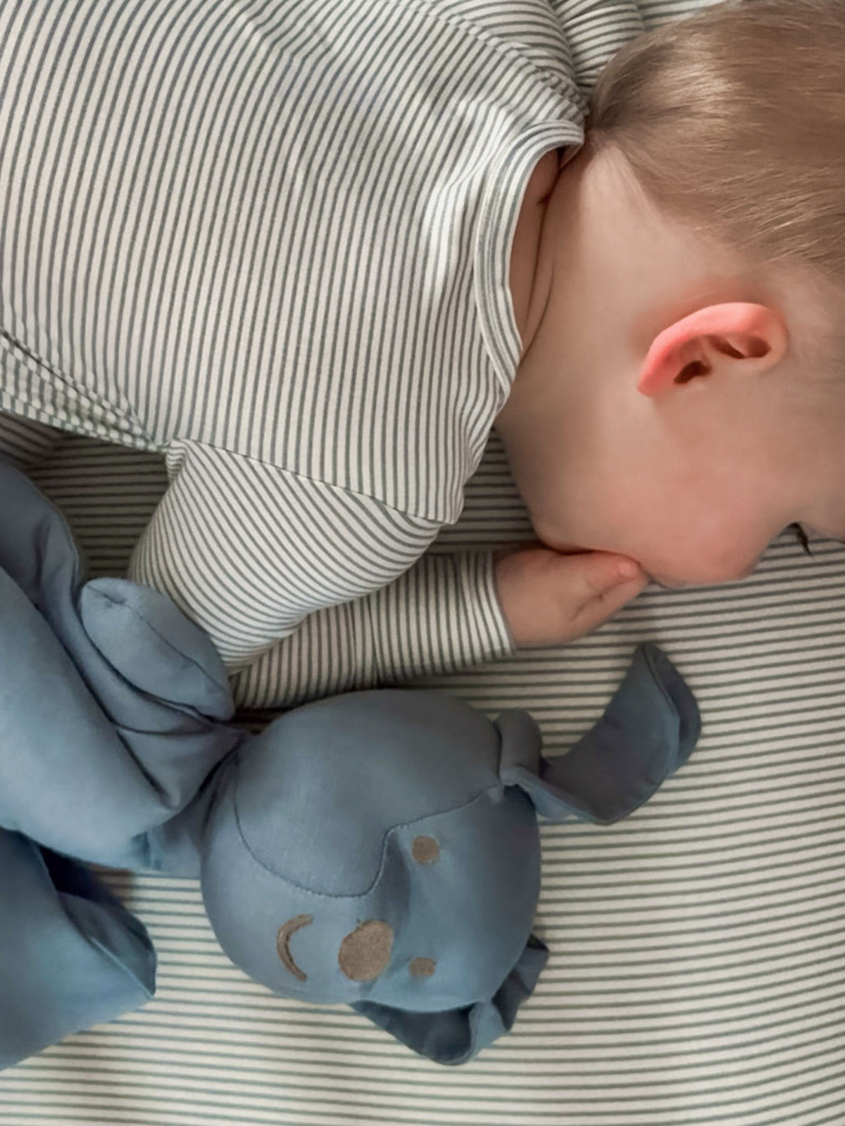 Dusky blue plush pup lovey with embroidered face beside baby on striped blanket