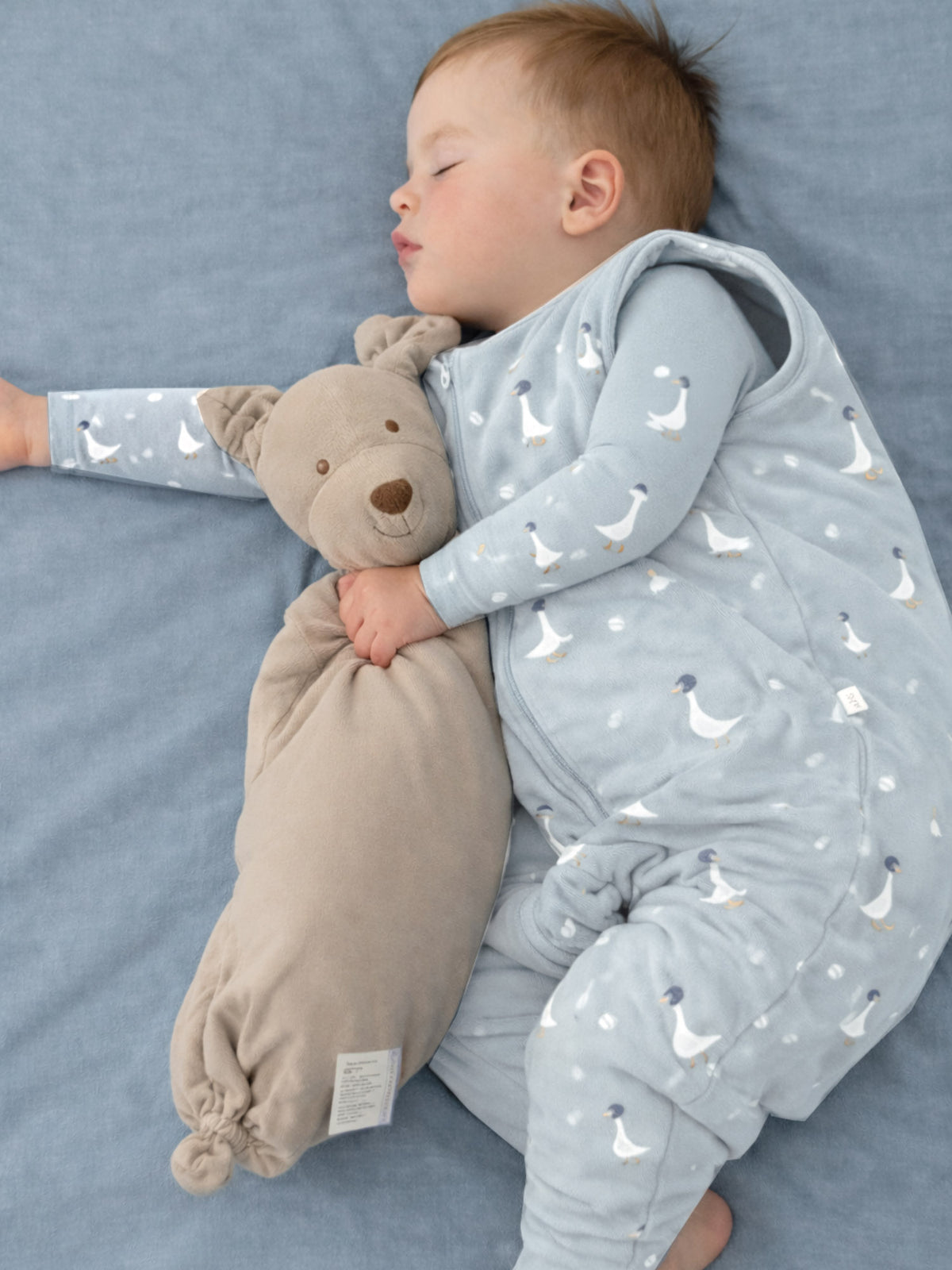 Footie sleep sack in light blue with allover swan print and zip-up hood, 1.0 TOG