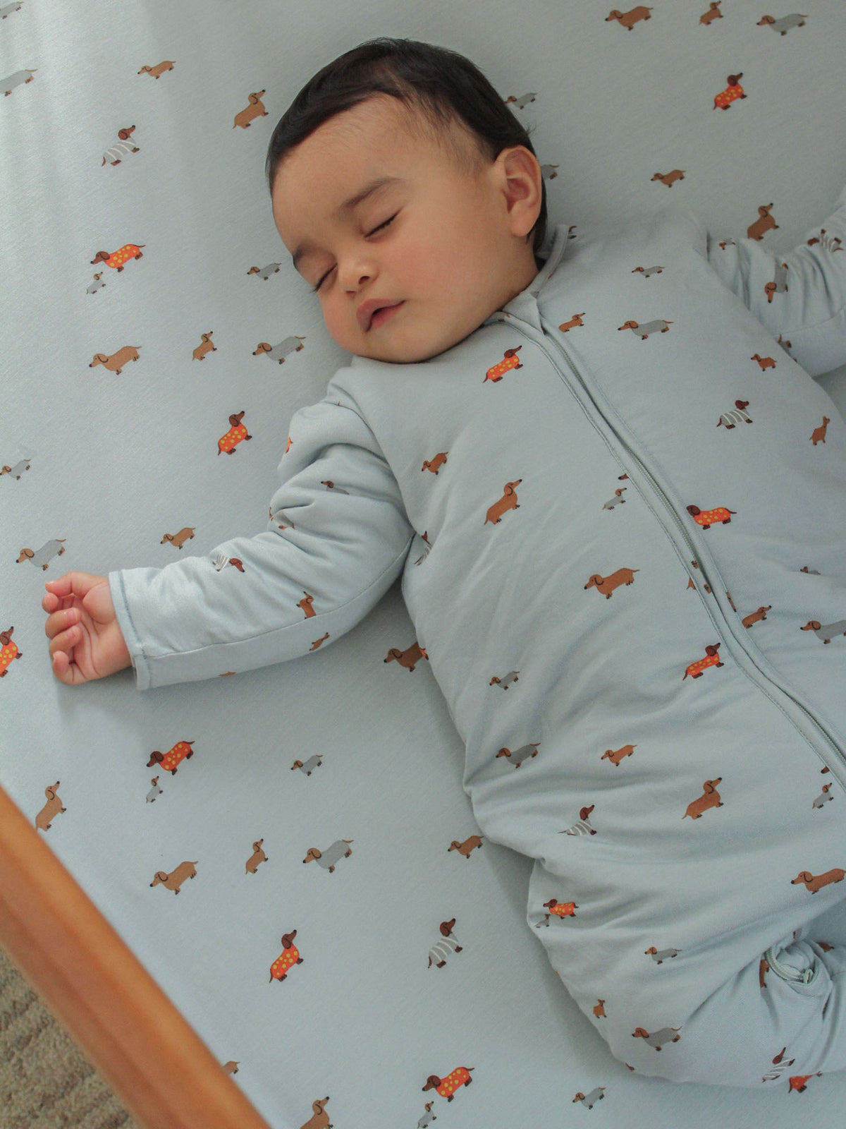 Light blue sleep sack with dog print, full front zipper and long sleeves