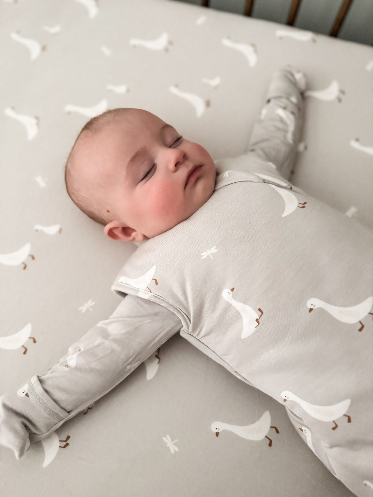 Beige swaddle sleep sack with white goose print, baby lying on back