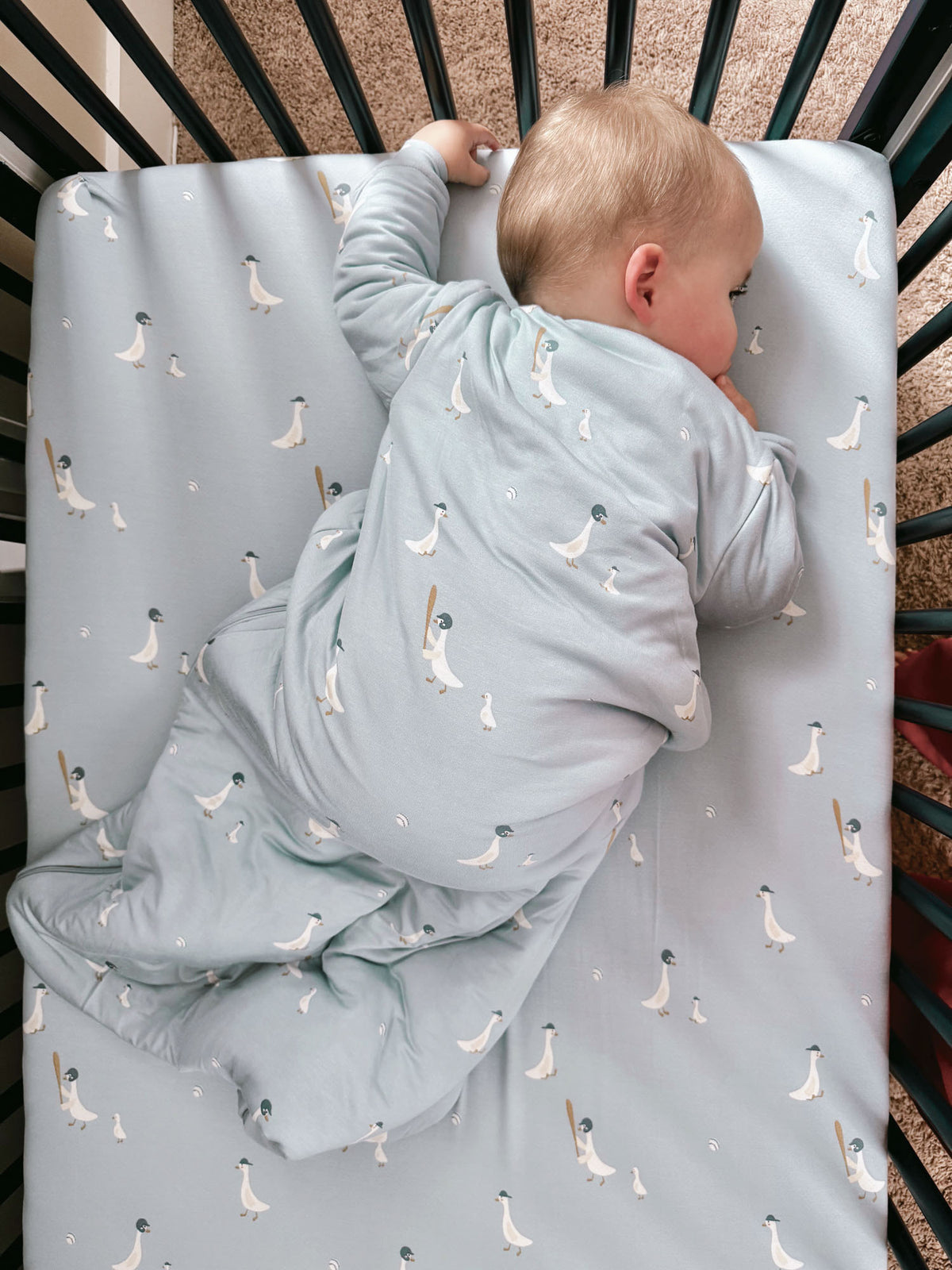 Light blue baby sleep sack with goose pattern, open back view; long sleeves