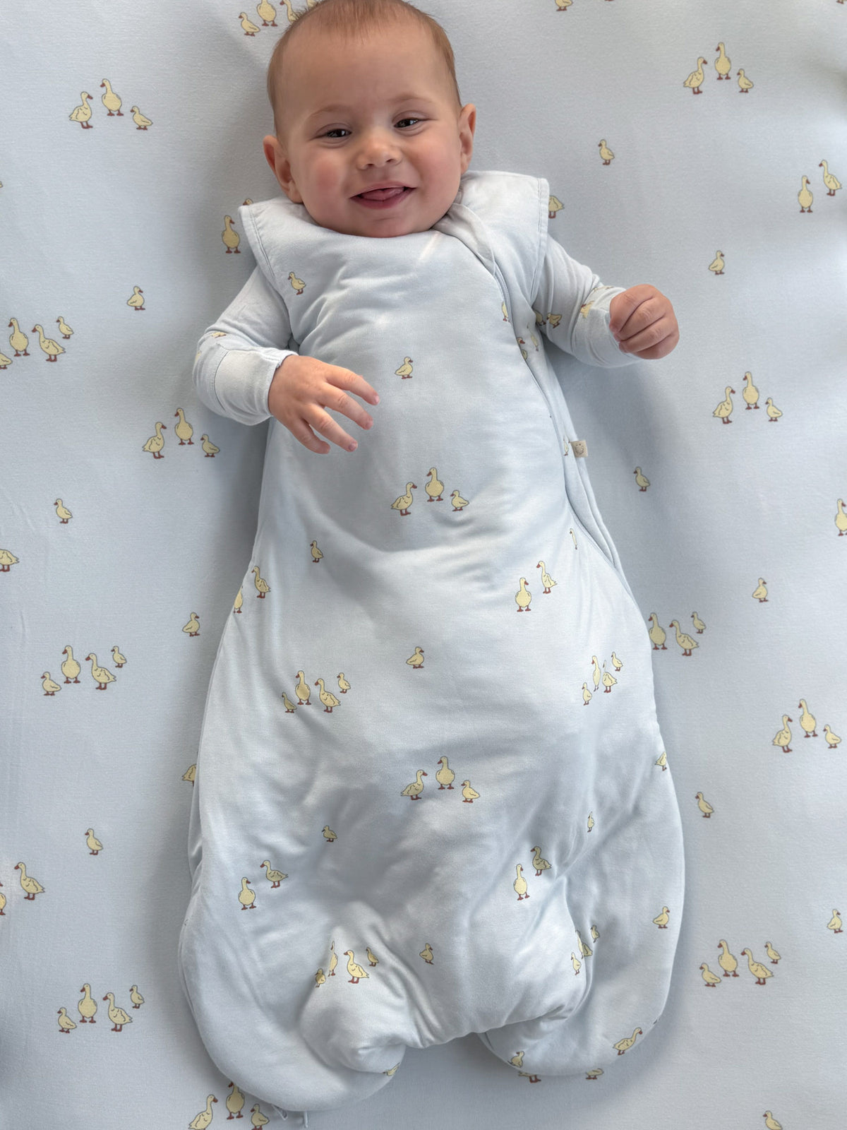 Transitional swaddle sleep sack, light blue with duck print, front zip, 1.0 TOG