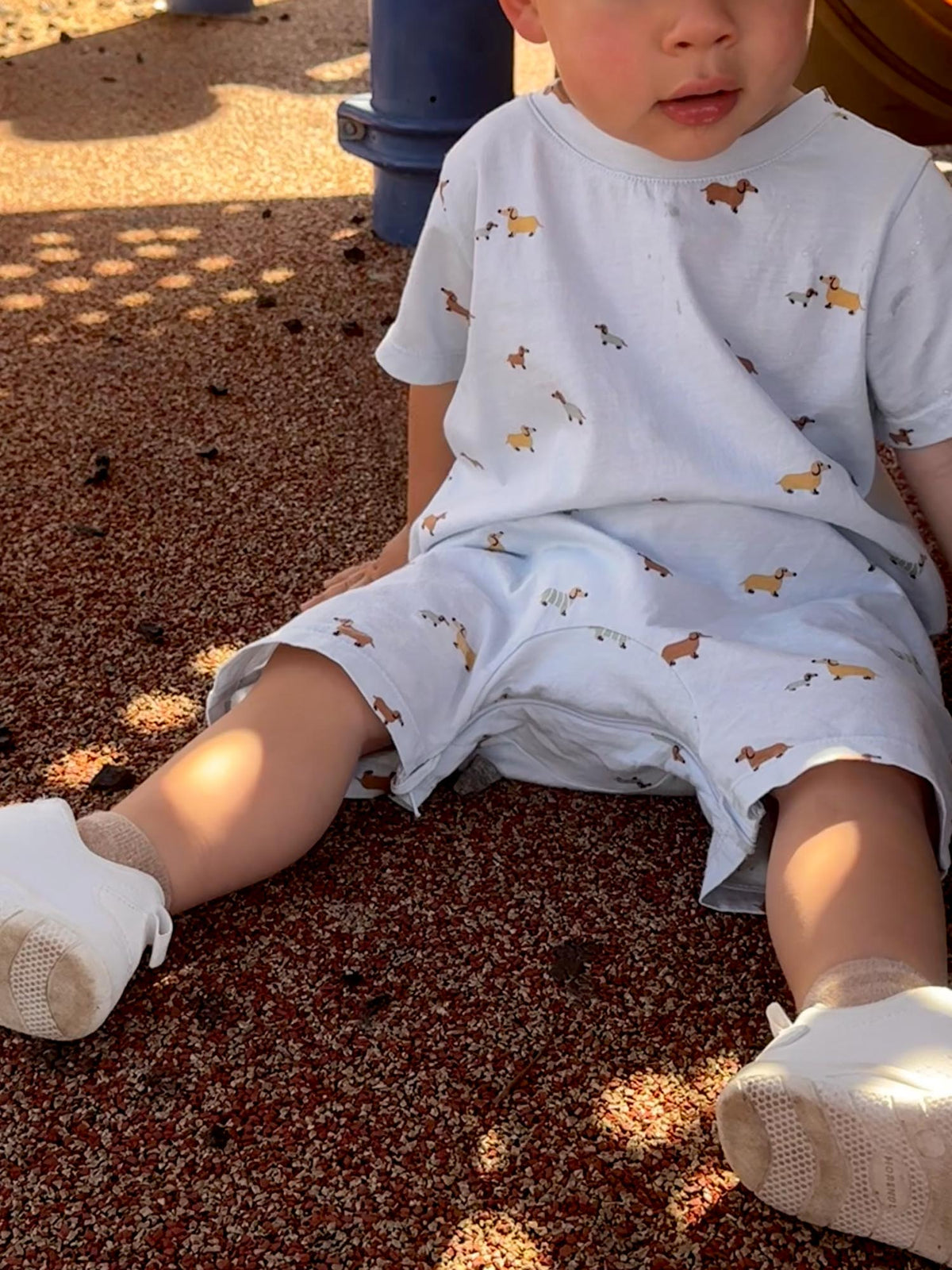 Woof cotton shortie romper in light blue with dog print, short sleeves and straight shorts