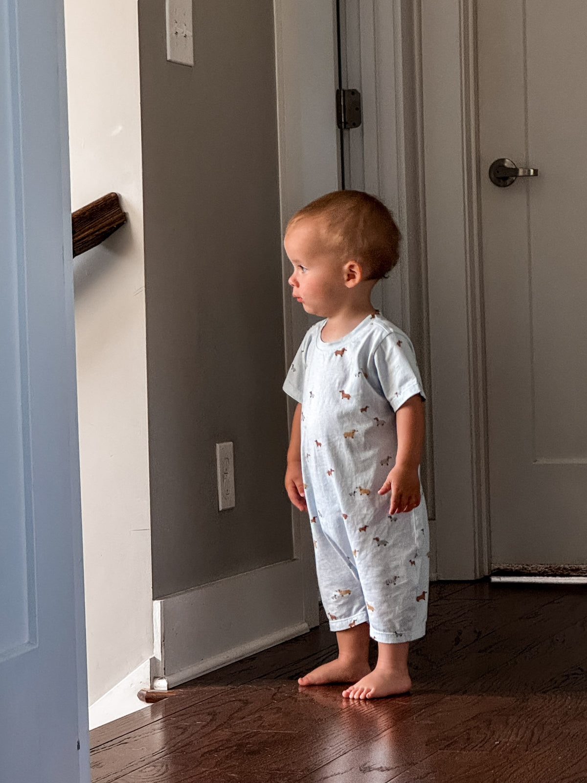 Woof cotton shortie romper, light blue with dog print, front view and short sleeves