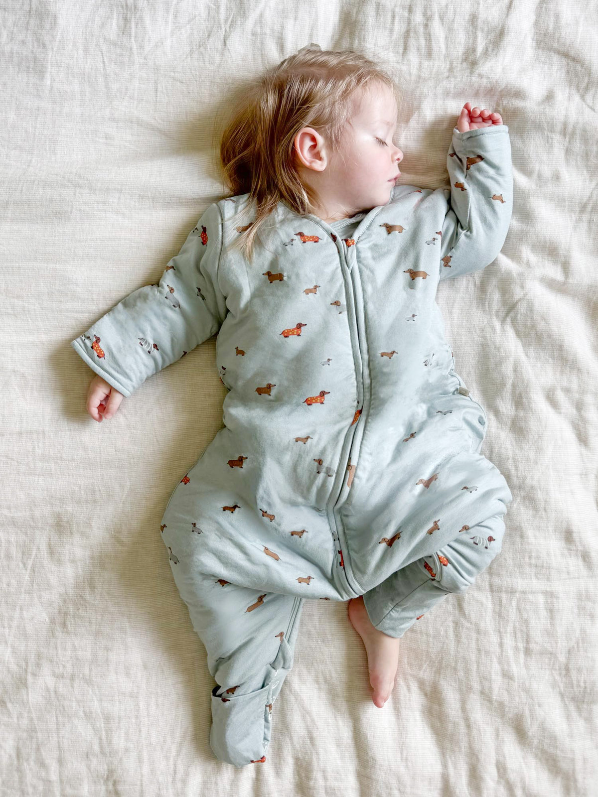 Long-sleeve footie sleep sack in light blue with dachshund print, front zipper