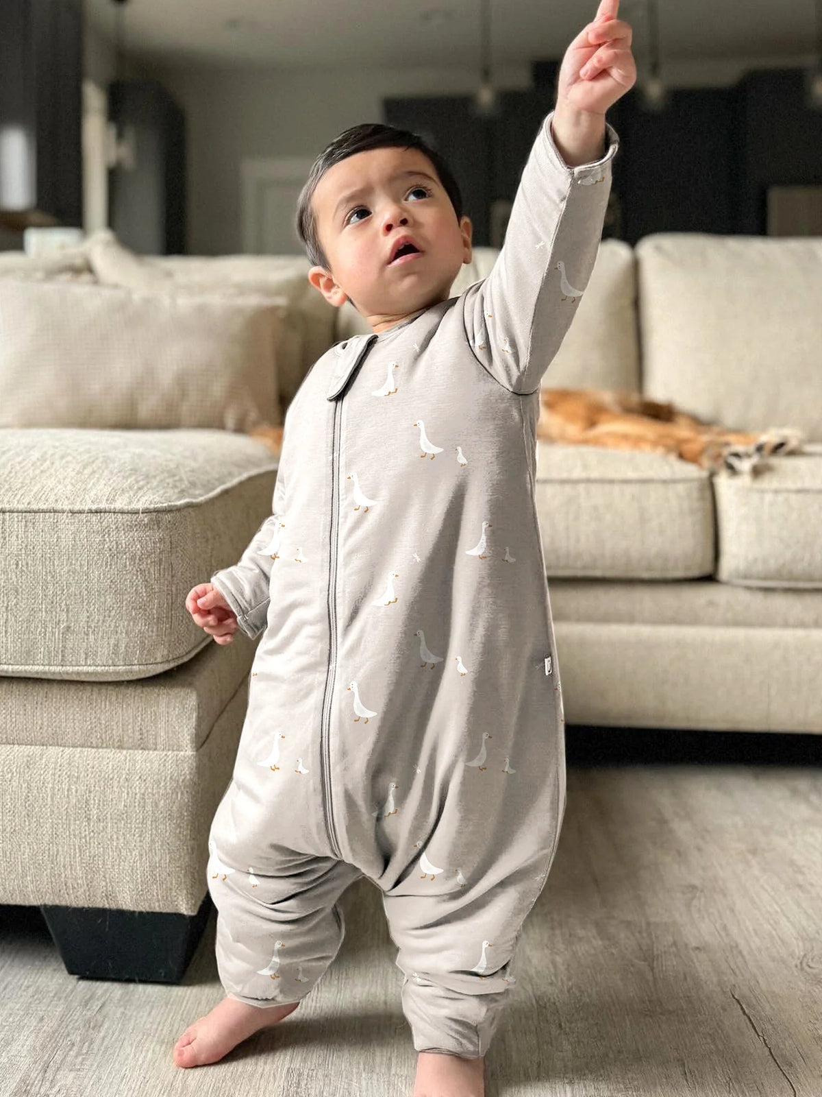 Long-sleeve footie sleep sack, goose print, light gray, zip front, 1.0 TOG