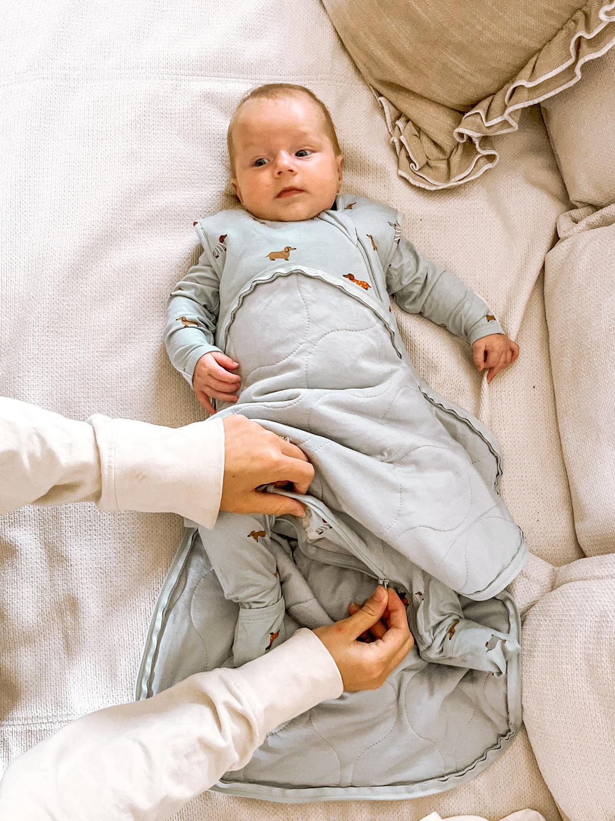 Light gray transitional swaddle sleep sack with dachshund print, open fold detail