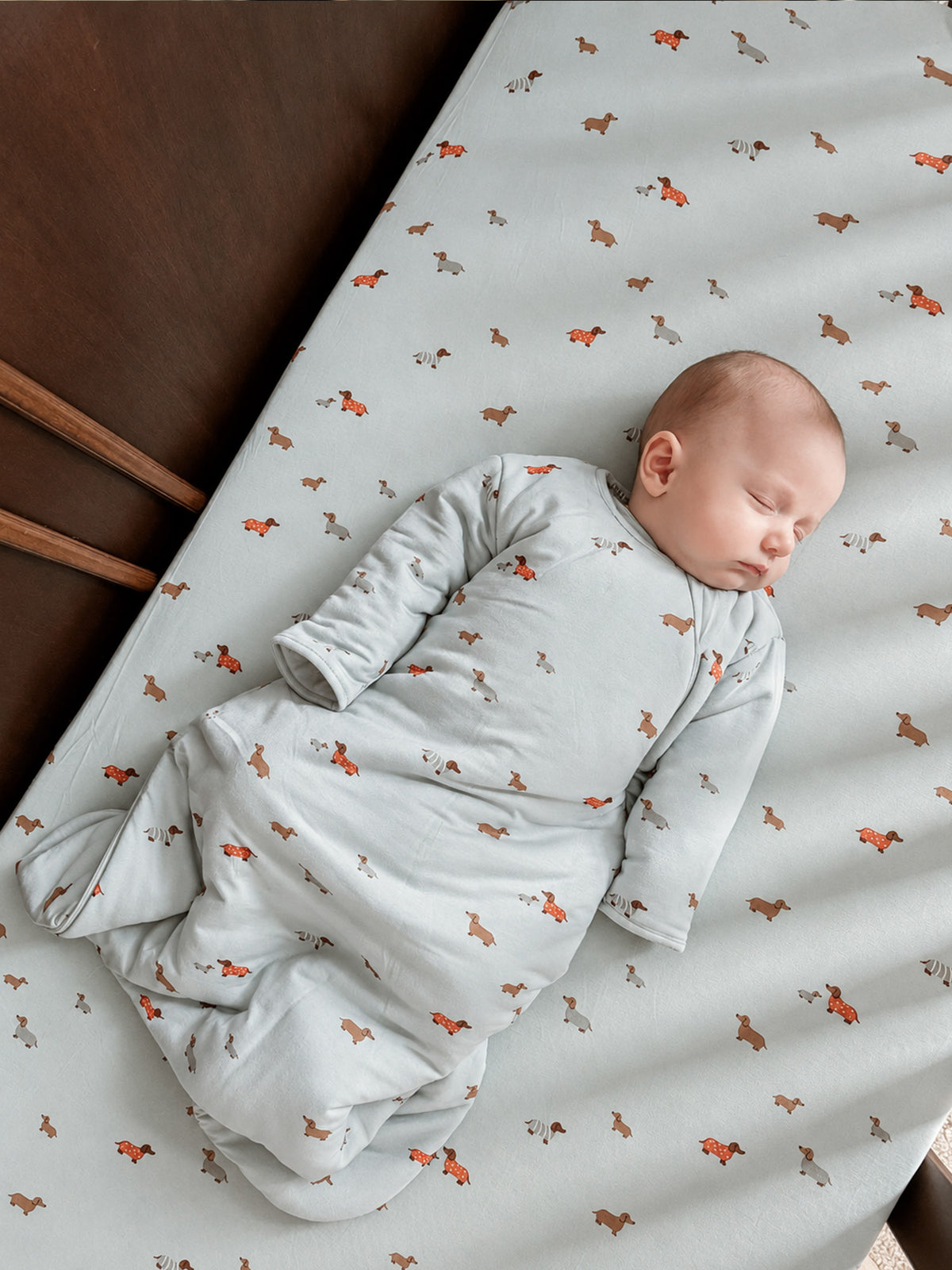 Light blue long-sleeve sleep sack with small orange dog prints, baby lying on back.