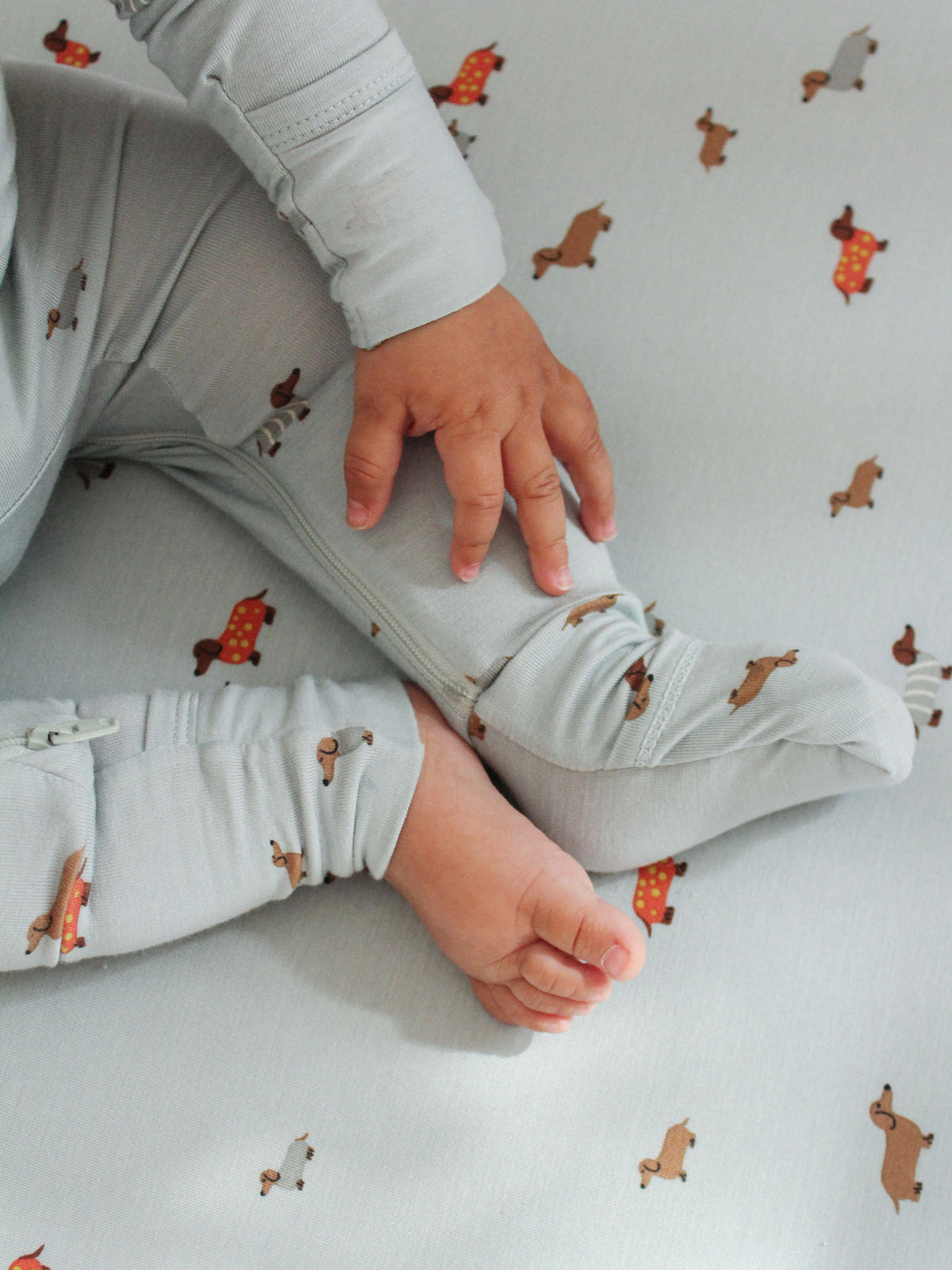 Close-up of light blue dachshund-print convertible pajama cuffs and hands