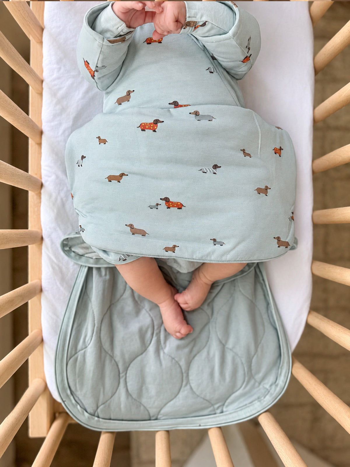 Light blue long-sleeve sleep sack with dog print and quilted lower panel