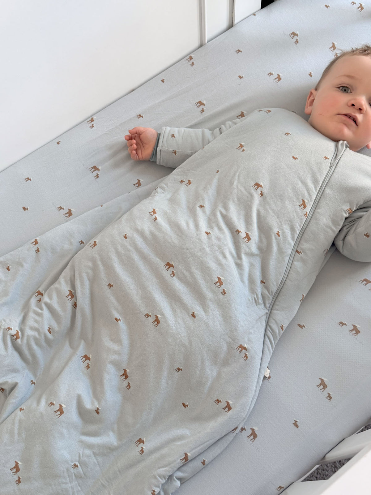 Light blue 2.5 TOG sleep sack with long sleeves, front zipper, small moose print