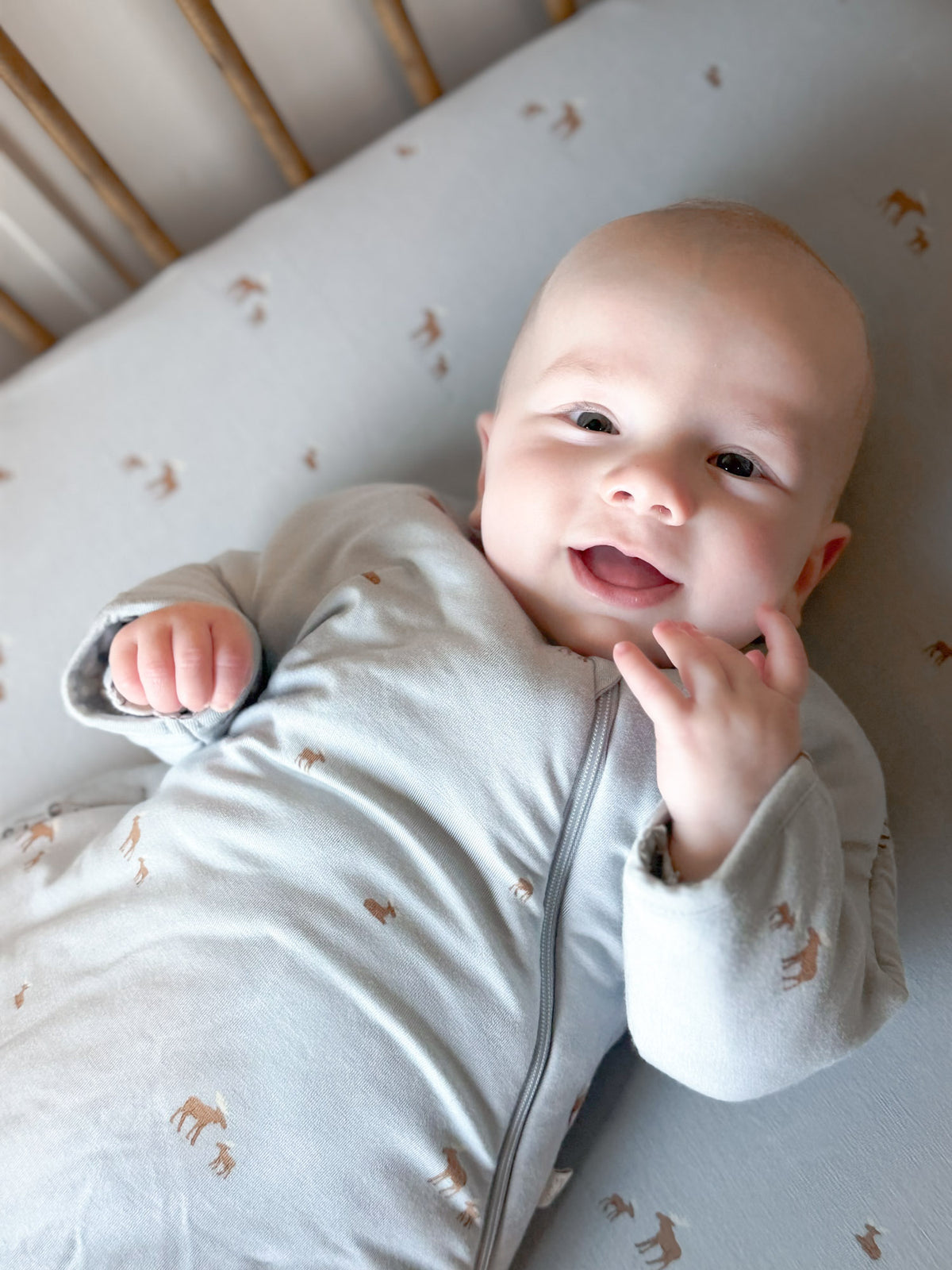 Light gray baby swaddle sack with moose print and long sleeves, zip front