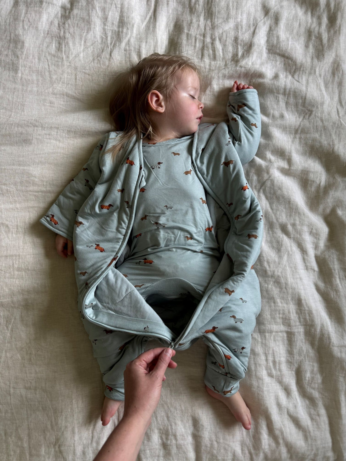 Light blue footed sleep sack with dog print, full zipper and fold-over cuffs