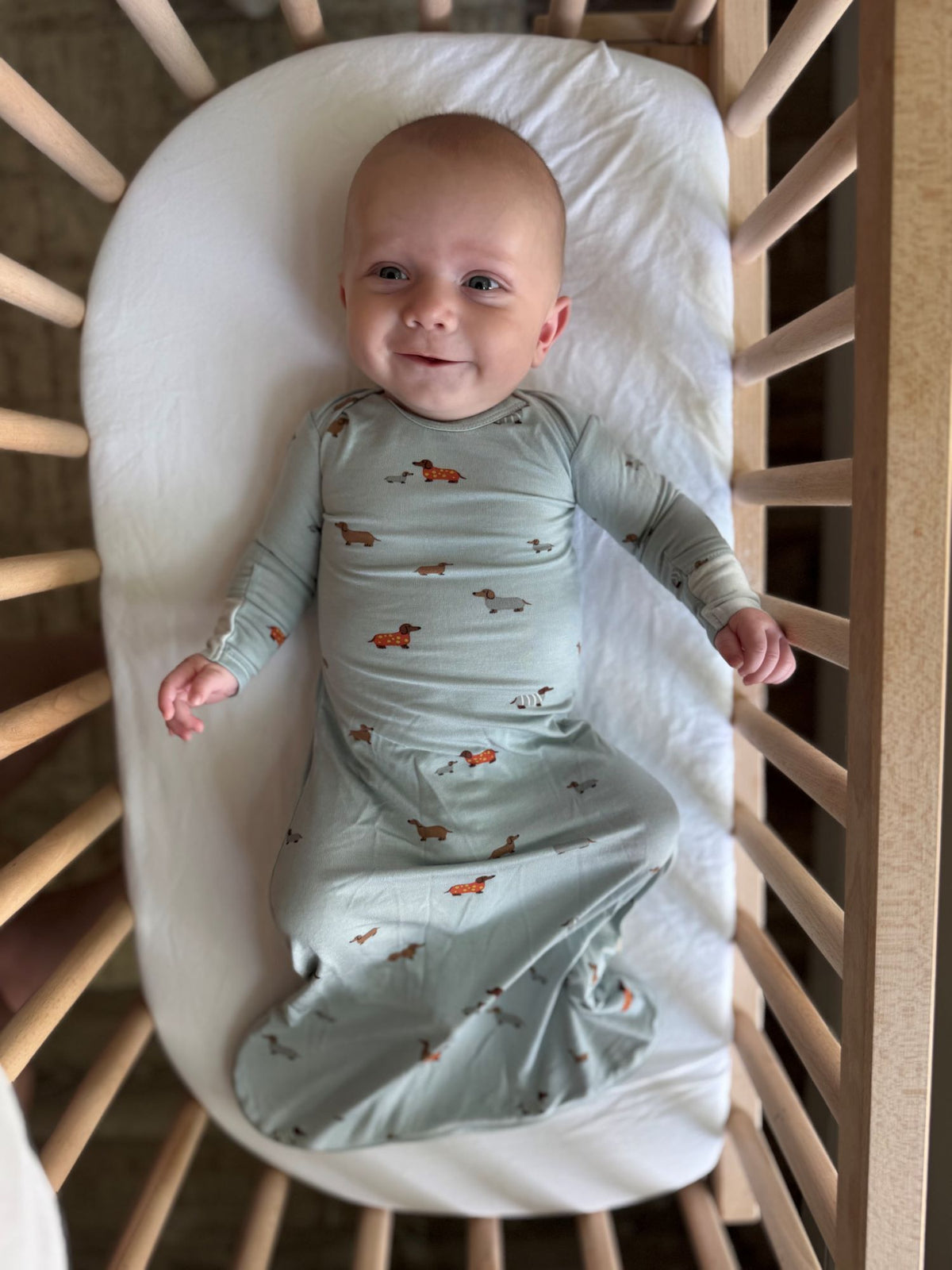 Baby gown in light blue with dog print, long sleeves and gathered skirt