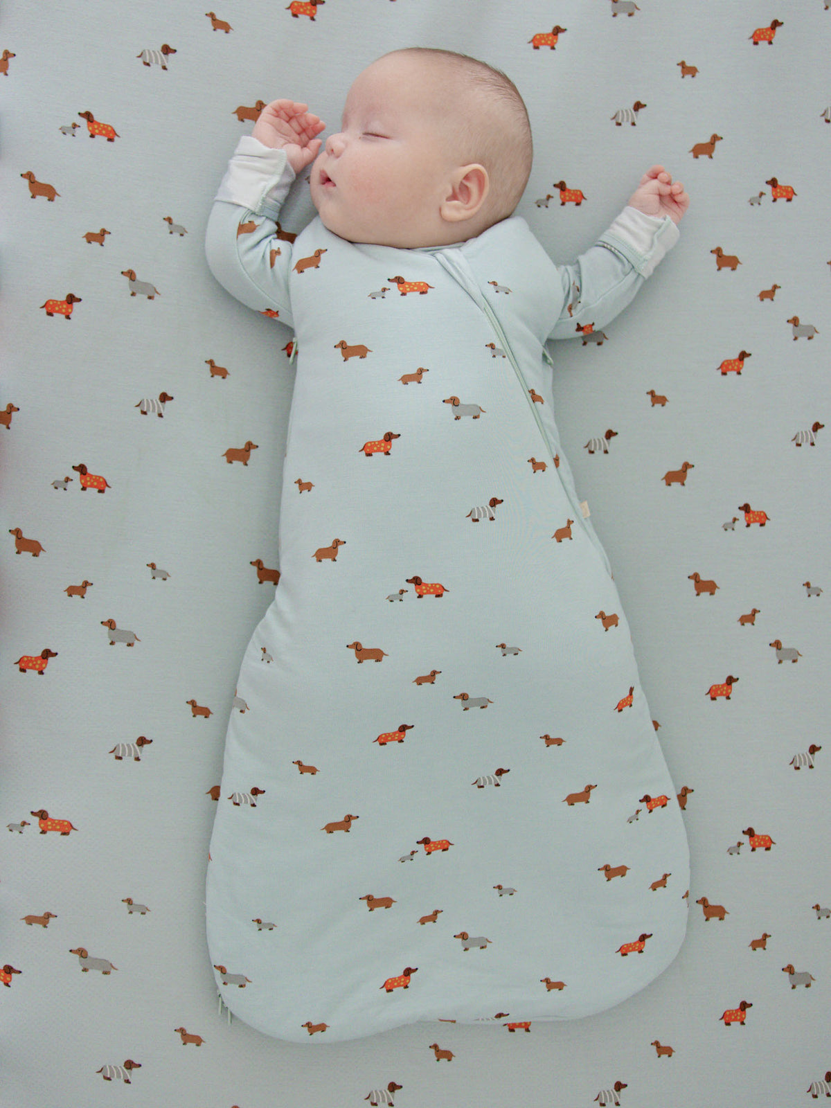 2.5 TOG light blue sleep sack with dachshund print, long sleeves, open bottom