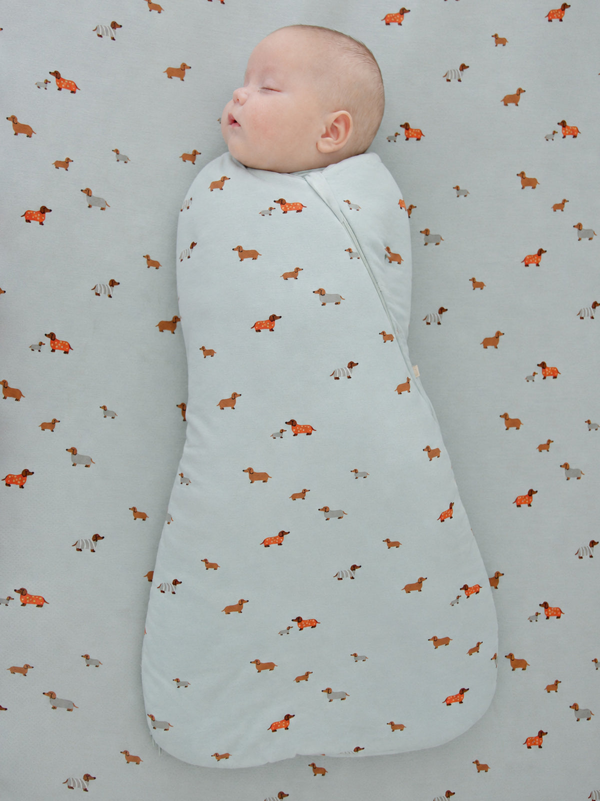 Baby sleep sack, light blue dachshund print, 1.0 TOG, full view with closed bottom
