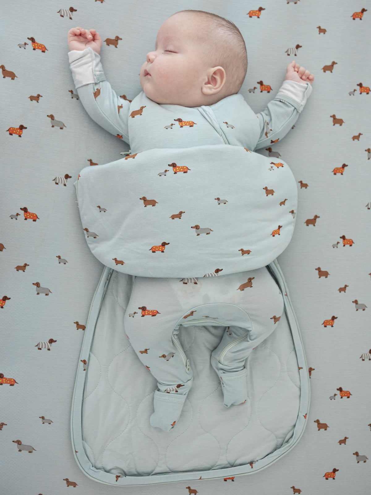 Baby sleep sack, light blue dachshund print, 1.0 TOG, full suit with arm holes