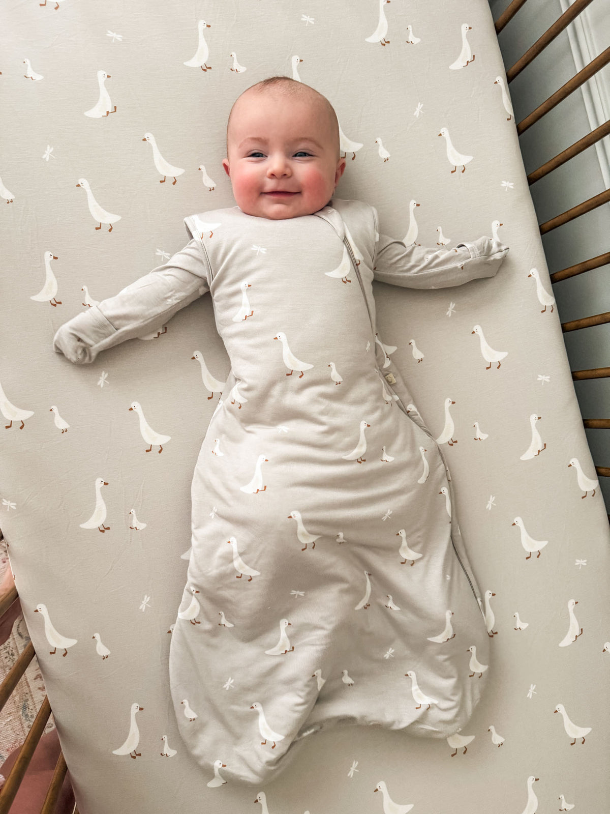 Transitional swaddle sleep sack, beige with white goose print, full wrap with arm openings