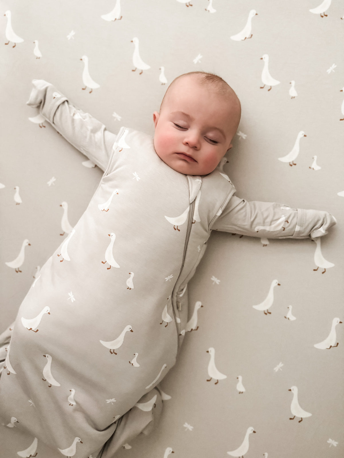 Transitional swaddle sleep sack, beige with scattered white goose print and front opening