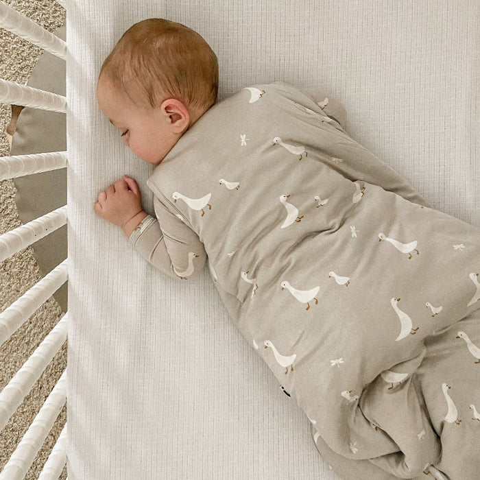 Baby swaddled in a gray blanket with bird pattern in a crib