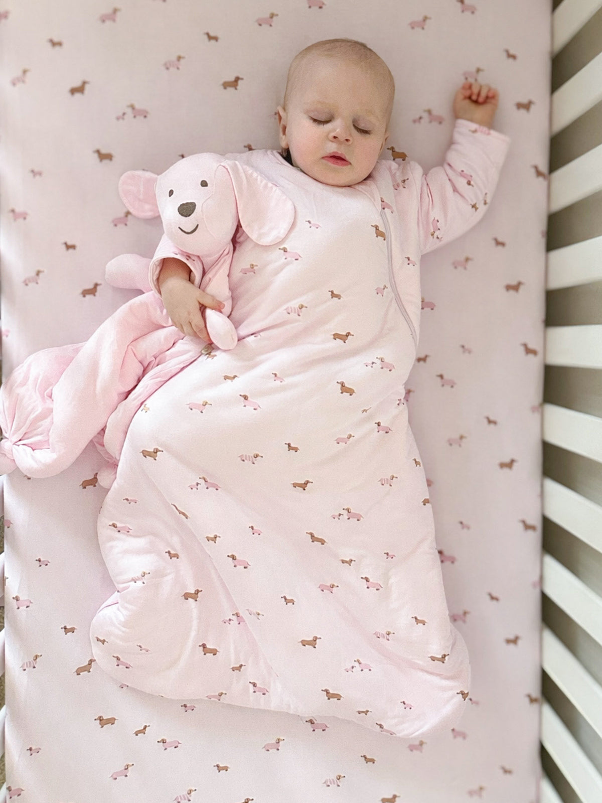 Pink long-sleeve sleep sack with small dog print and front zip; baby holding plush dog