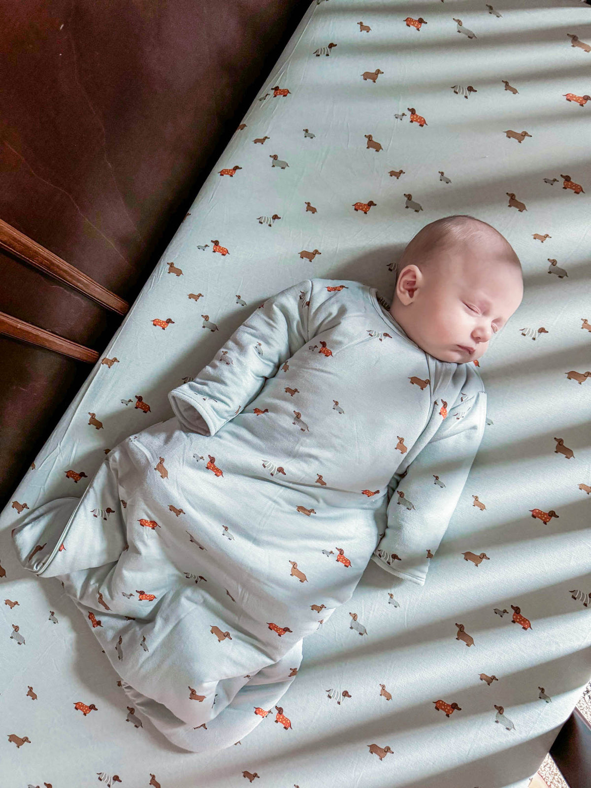 Light blue baby sleep sack with dachshund print, long sleeves and covered body
