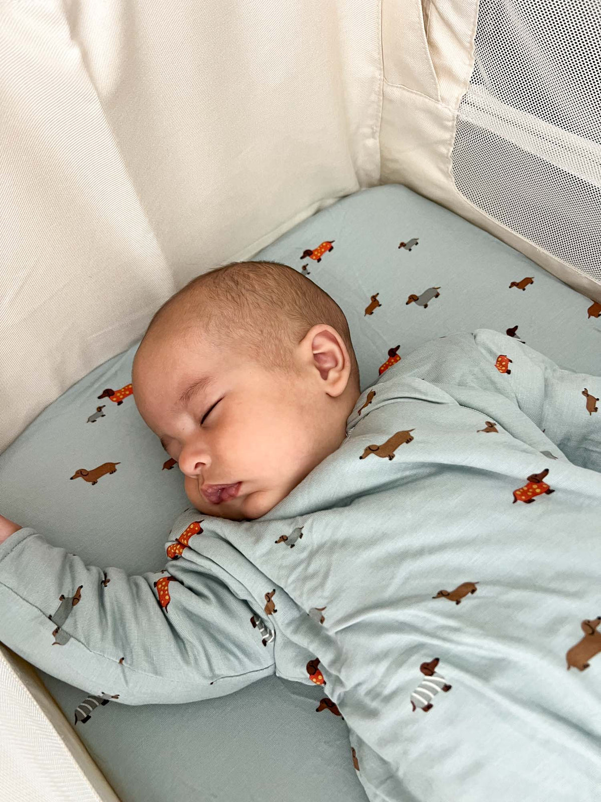 Light blue sleep sack with dachshund print, long sleeves, swaddled look