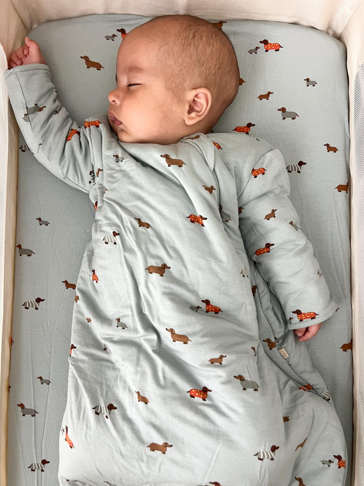 Light blue long-sleeve sleep sack with dachshund print, feet covered