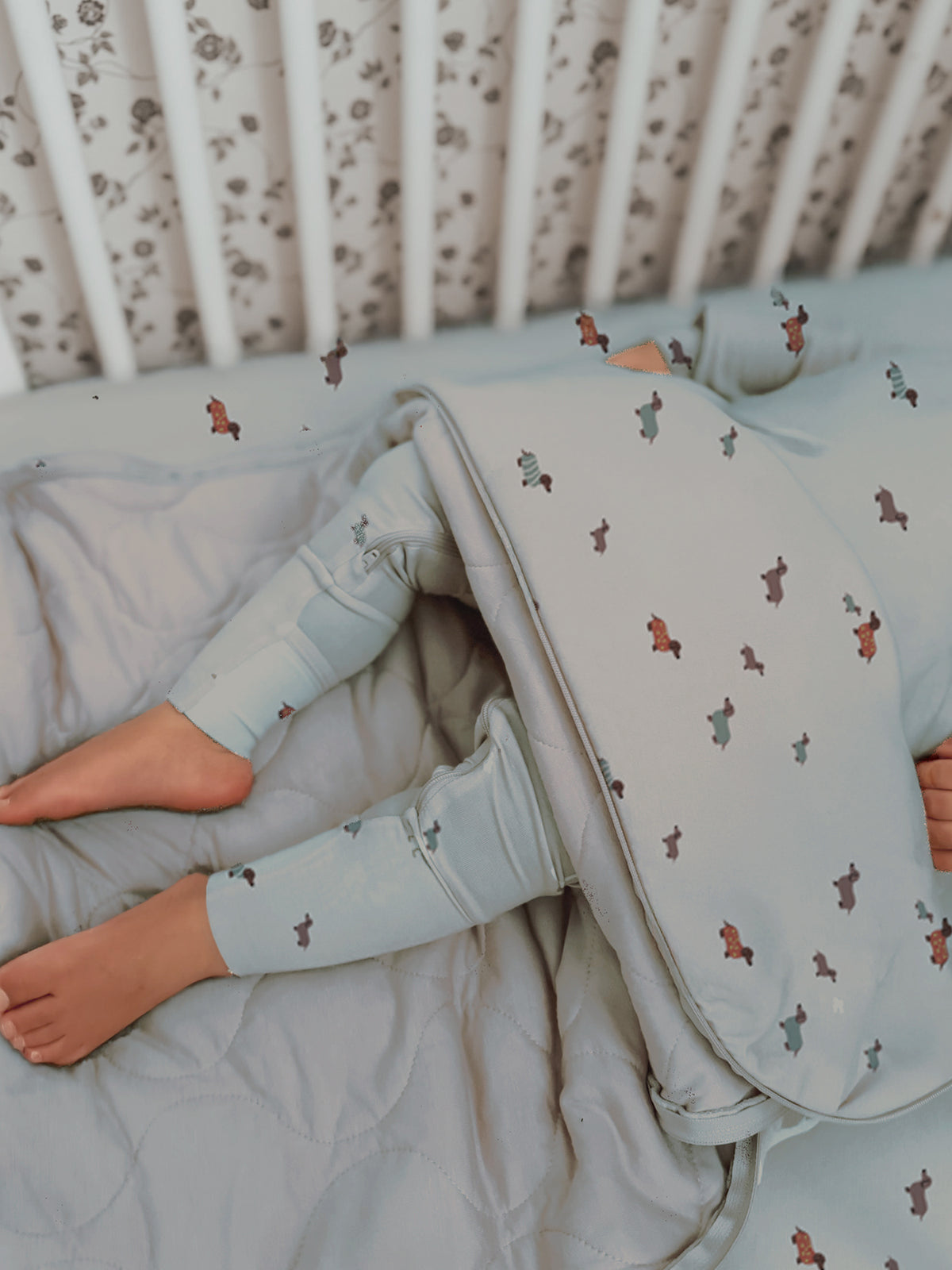 Light blue sleep sack with dachshund pattern, long sleeves, zipper opening