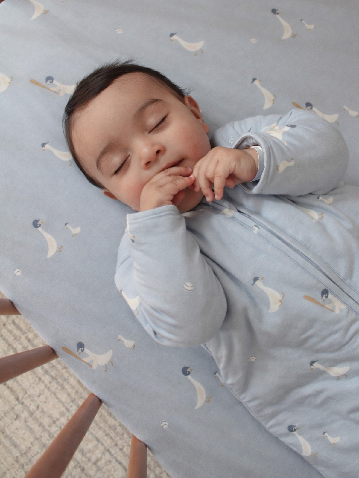 Light blue footie sleep sack, long sleeves, bird print, front zipper
