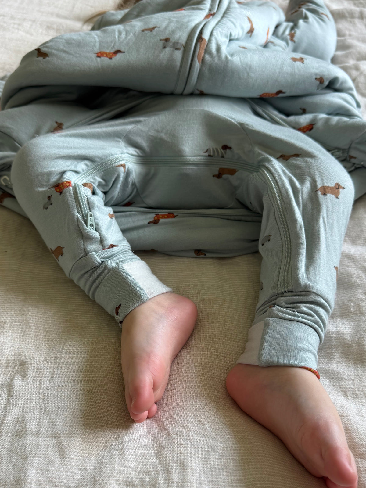 Light blue footed sleep sack with dog print, zippered legs and cuffs