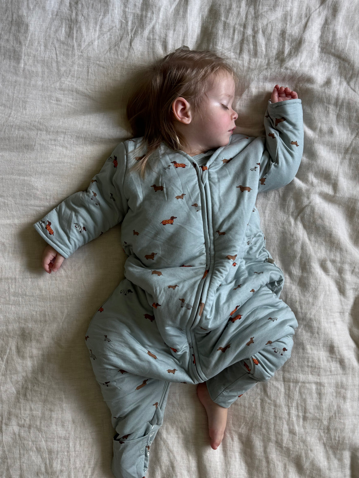 Light blue long-sleeve sleep sack with dog print, full-length zipper, footed legs