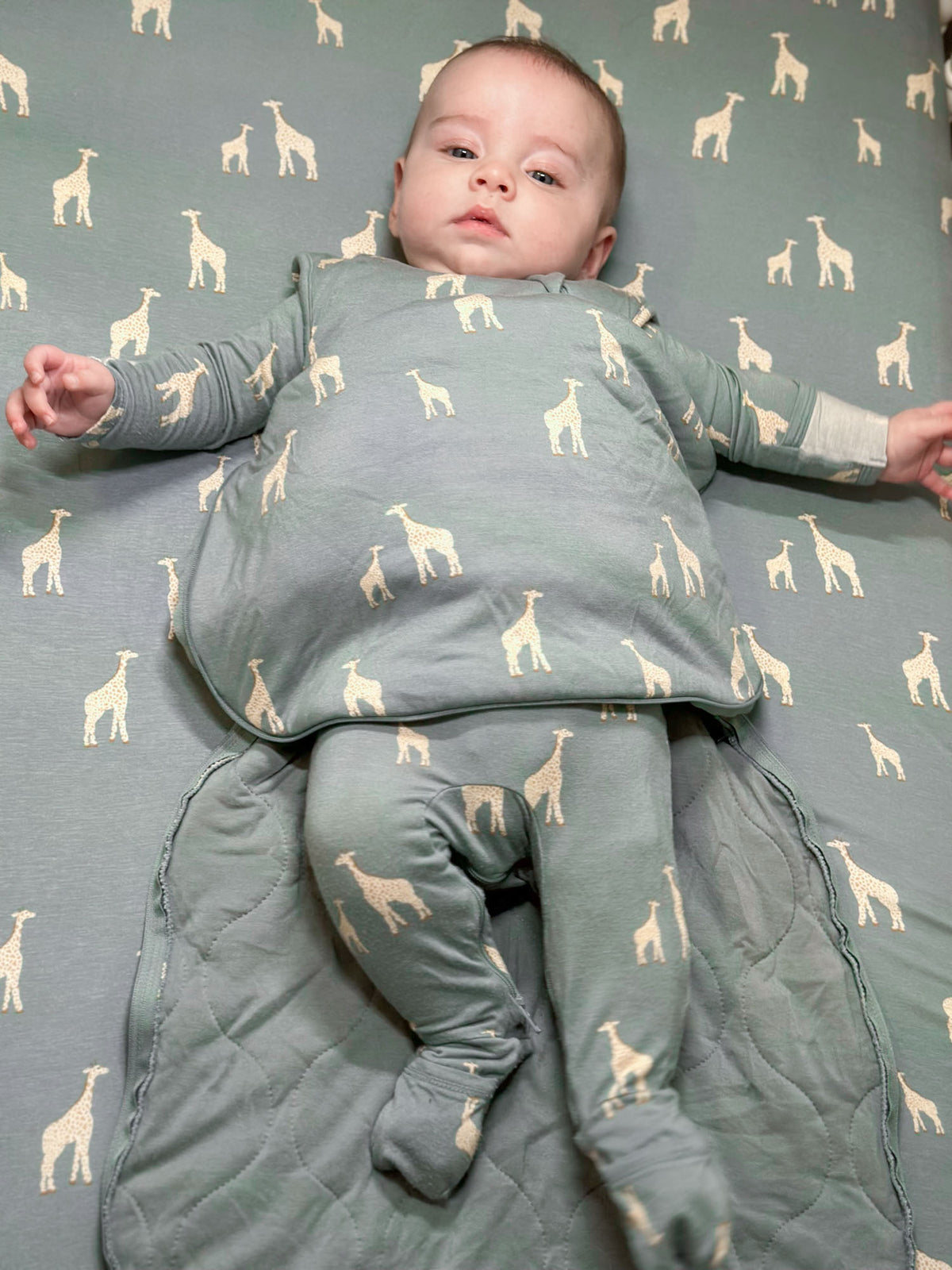 Moss green transitional swaddle sleep sack with allover giraffe print, zip front