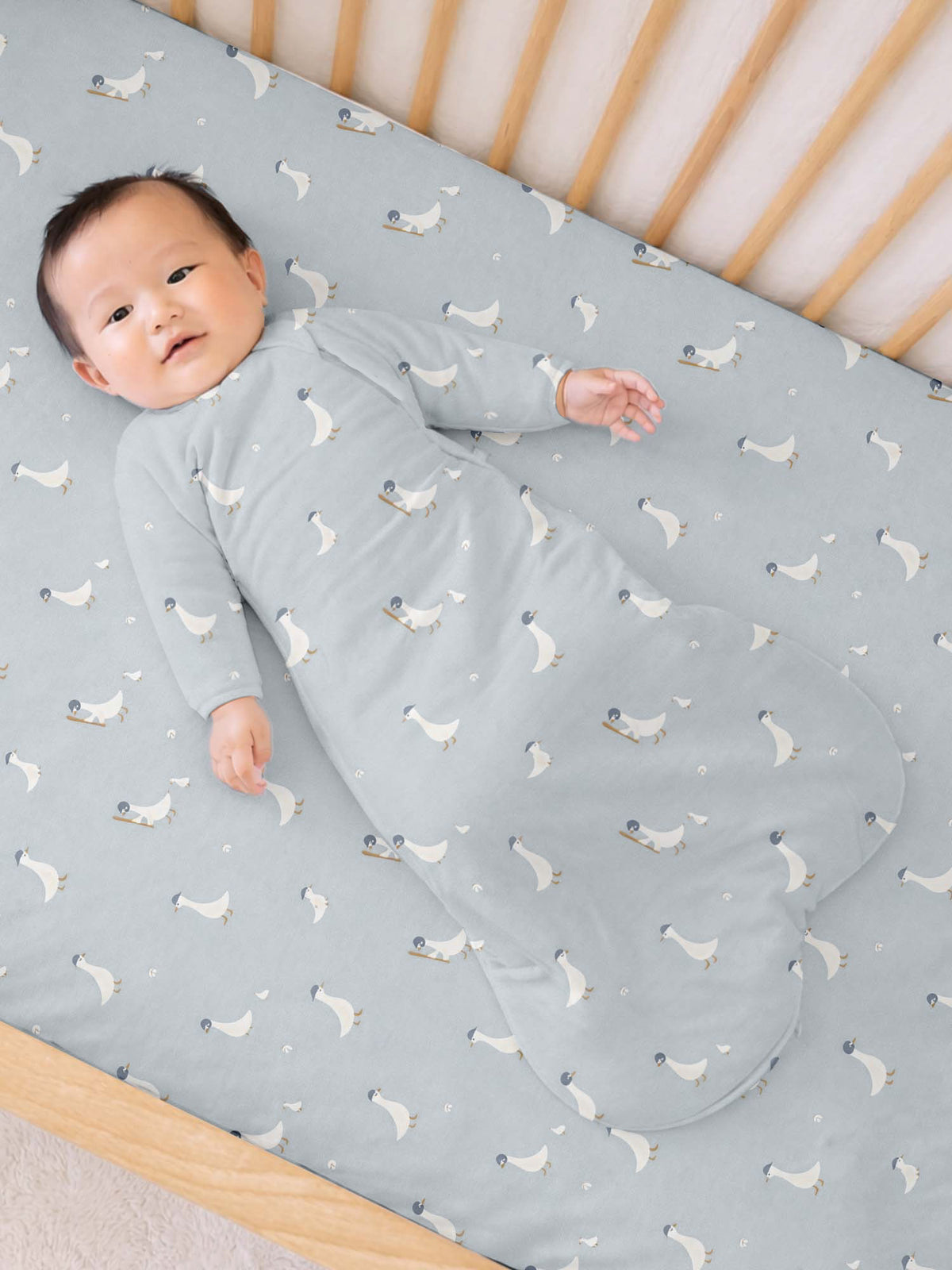 Light blue long-sleeve swaddle sack with baseball goose print, baby inside