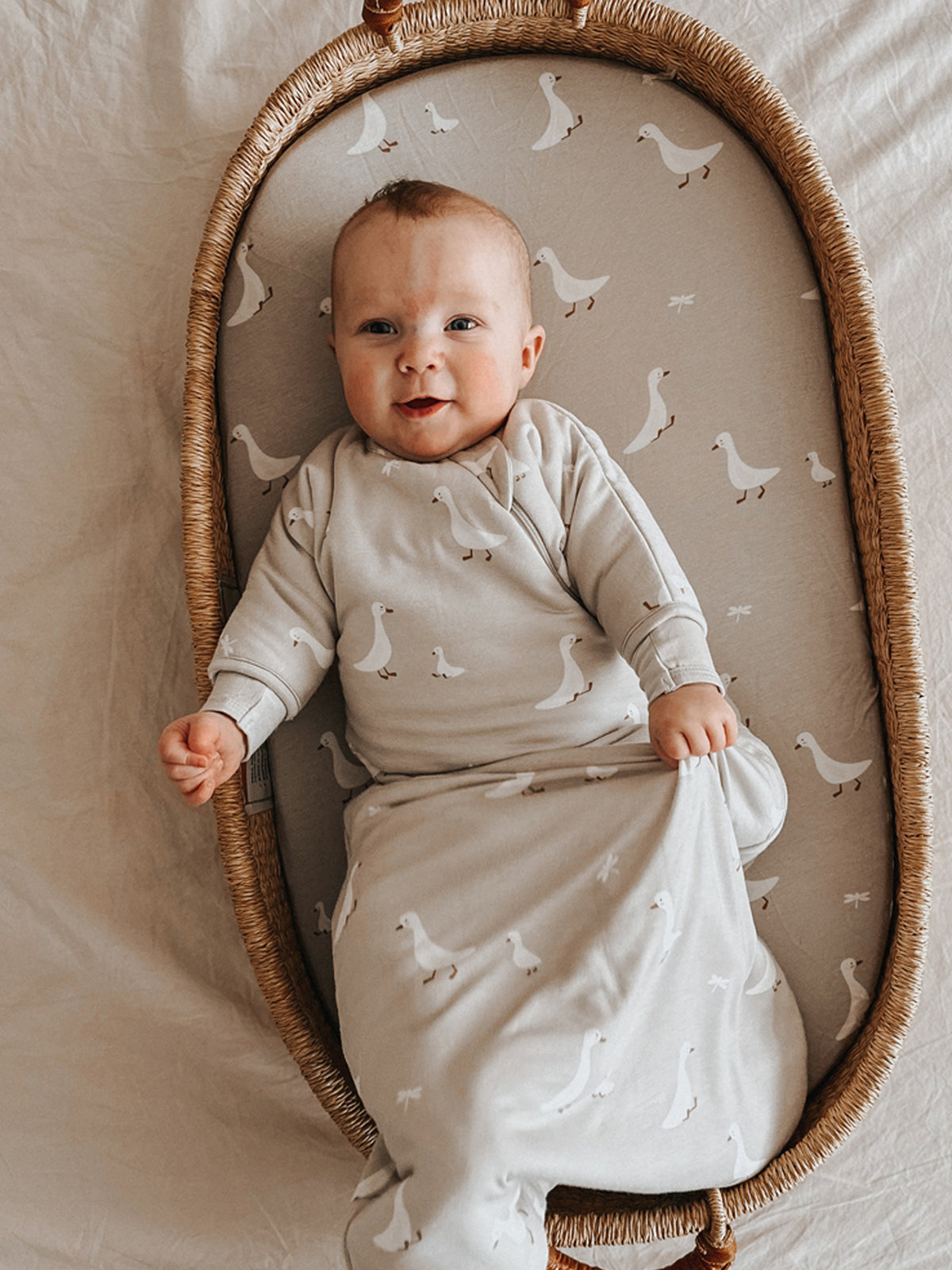 Long-sleeve transitional swaddle sack in light beige with white goose print, baby wearing