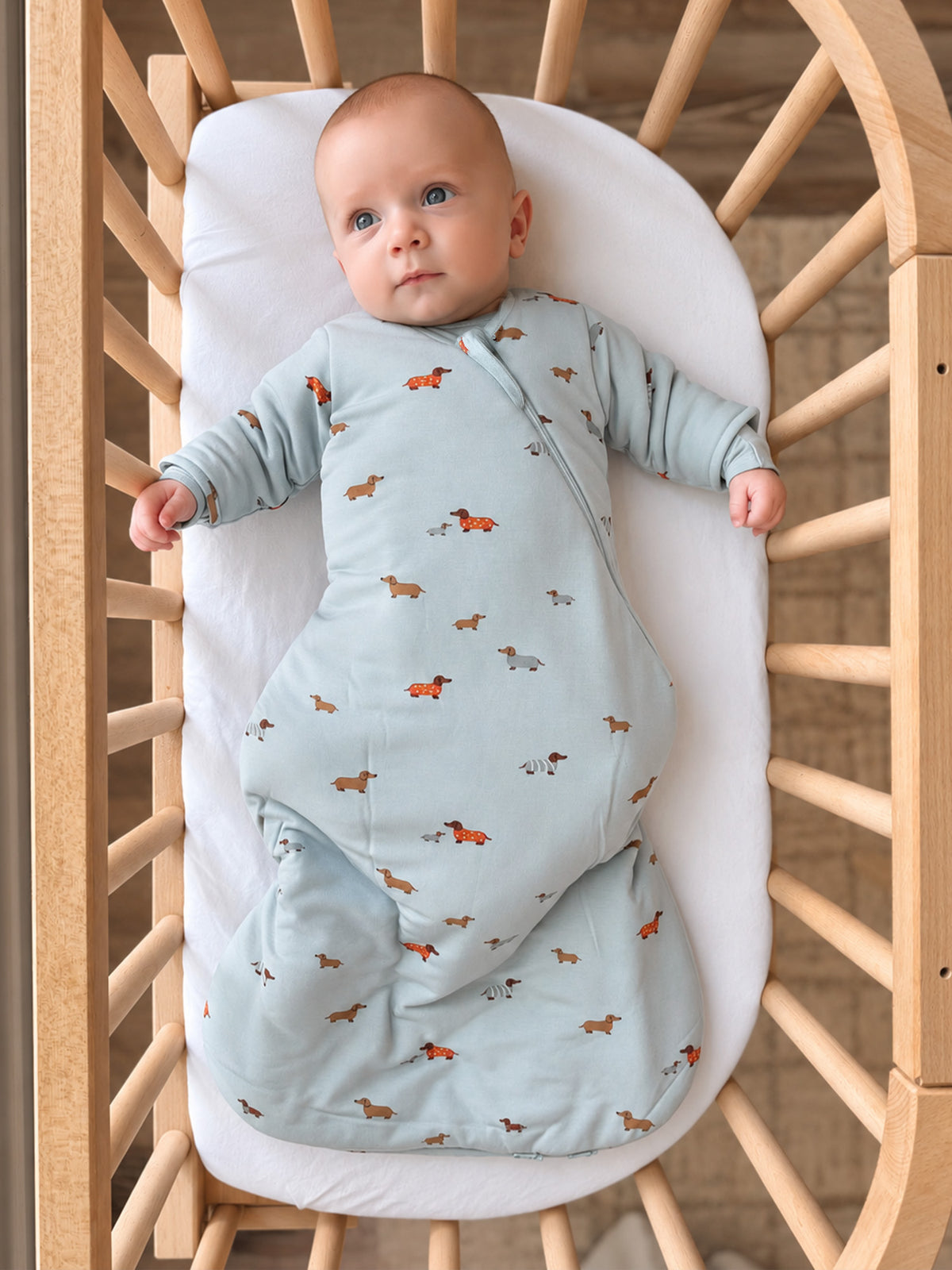 Light blue long-sleeve sleep sack with dog print and zip-front closure, 1.0 TOG