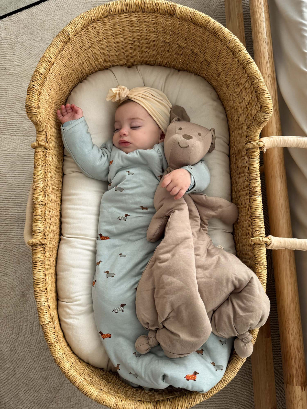 Light blue long-sleeve swaddle sack with animal print and plush bear attached