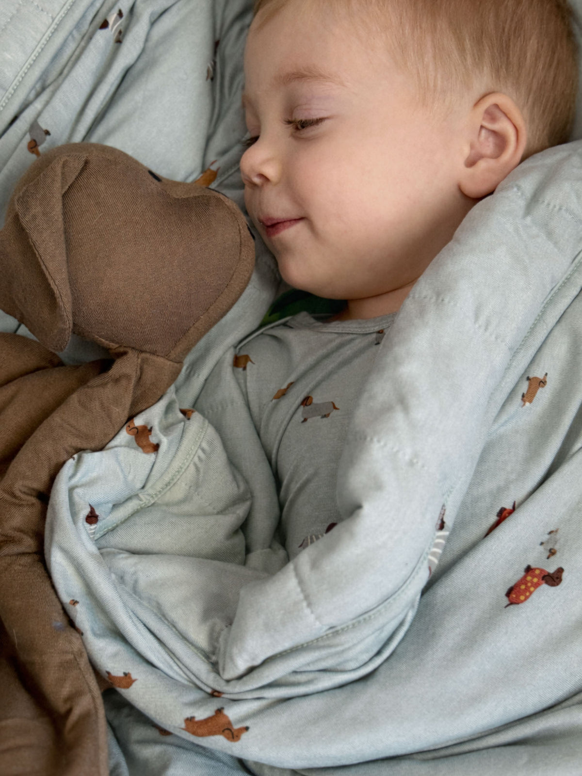 Light blue baby blanket with animal prints, wrapped around a sleeping infant