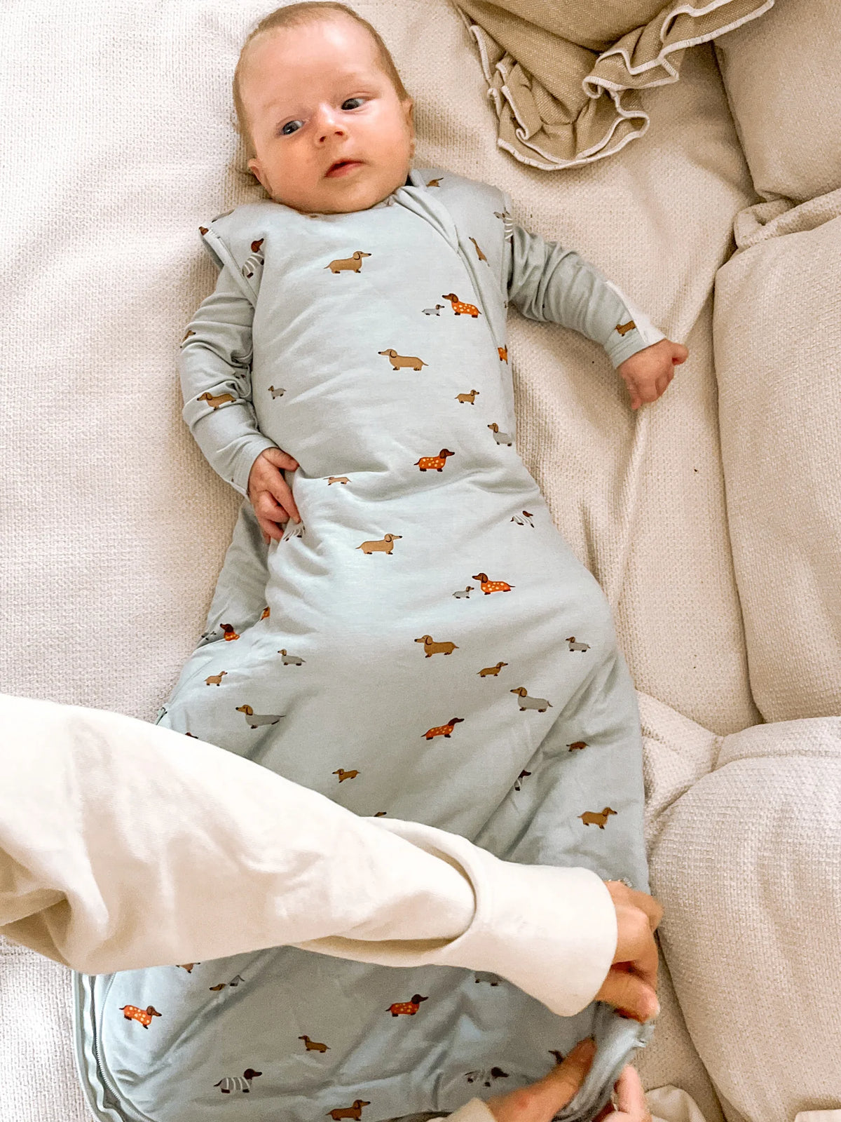 Light gray transitional swaddle sleep sack with dachshund print, 1.0 TOG