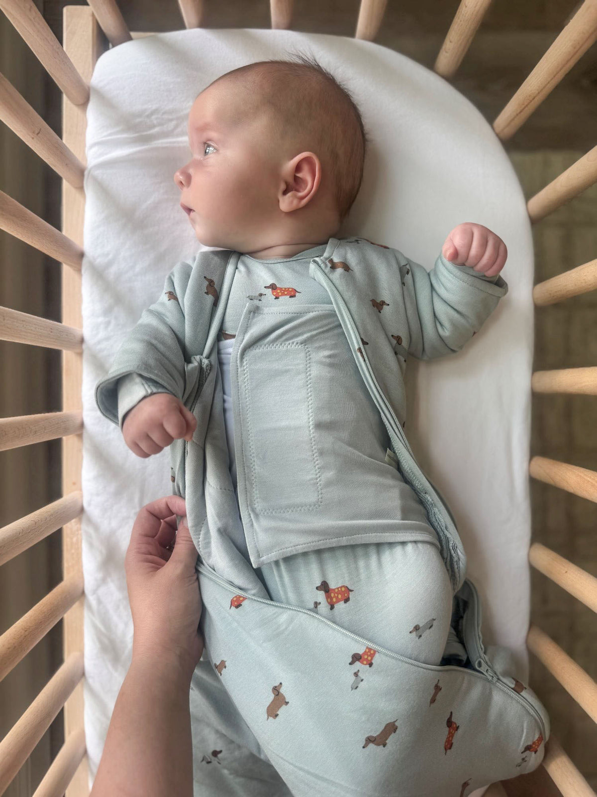 Light blue long-sleeve sleep sack with dog print and zip-front, side view