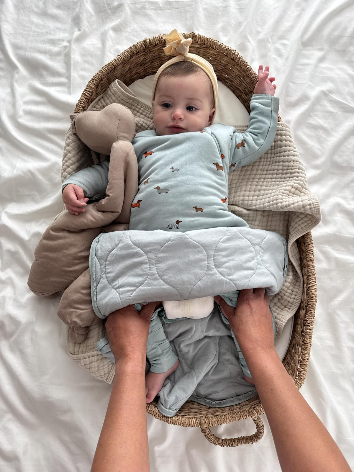 Light blue long-sleeve swaddle sack with animal print and quilted inner blanket