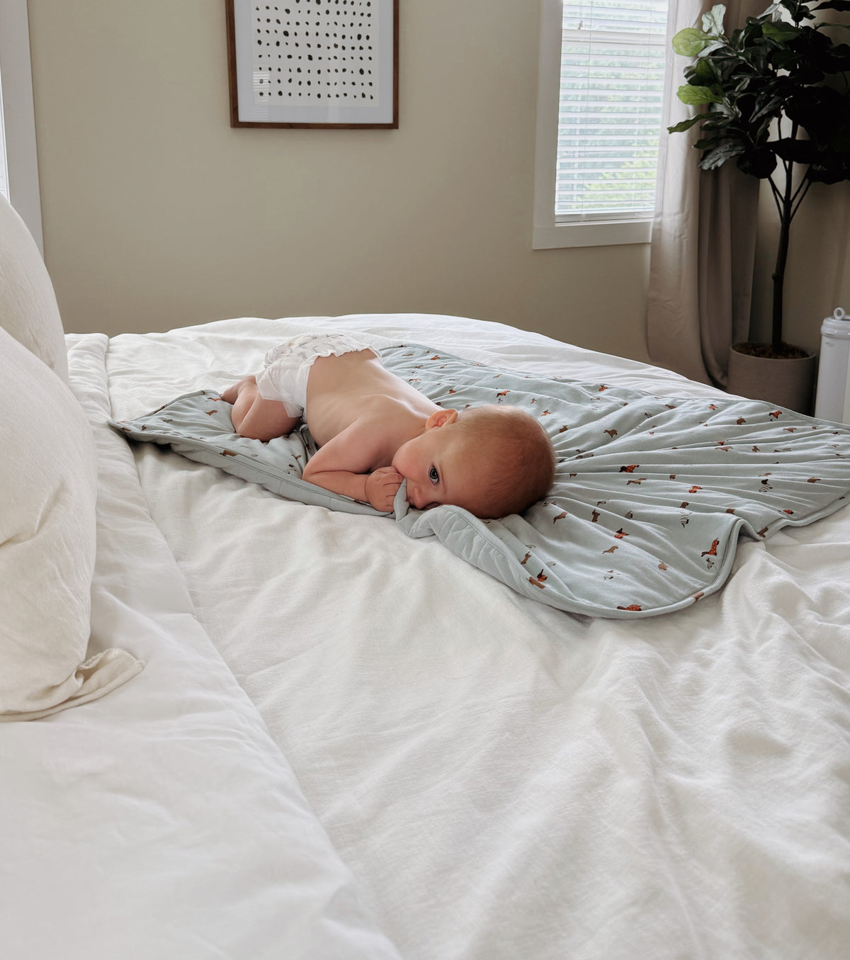 Light blue animal-print baby blanket covering a sleeping infant on a bed