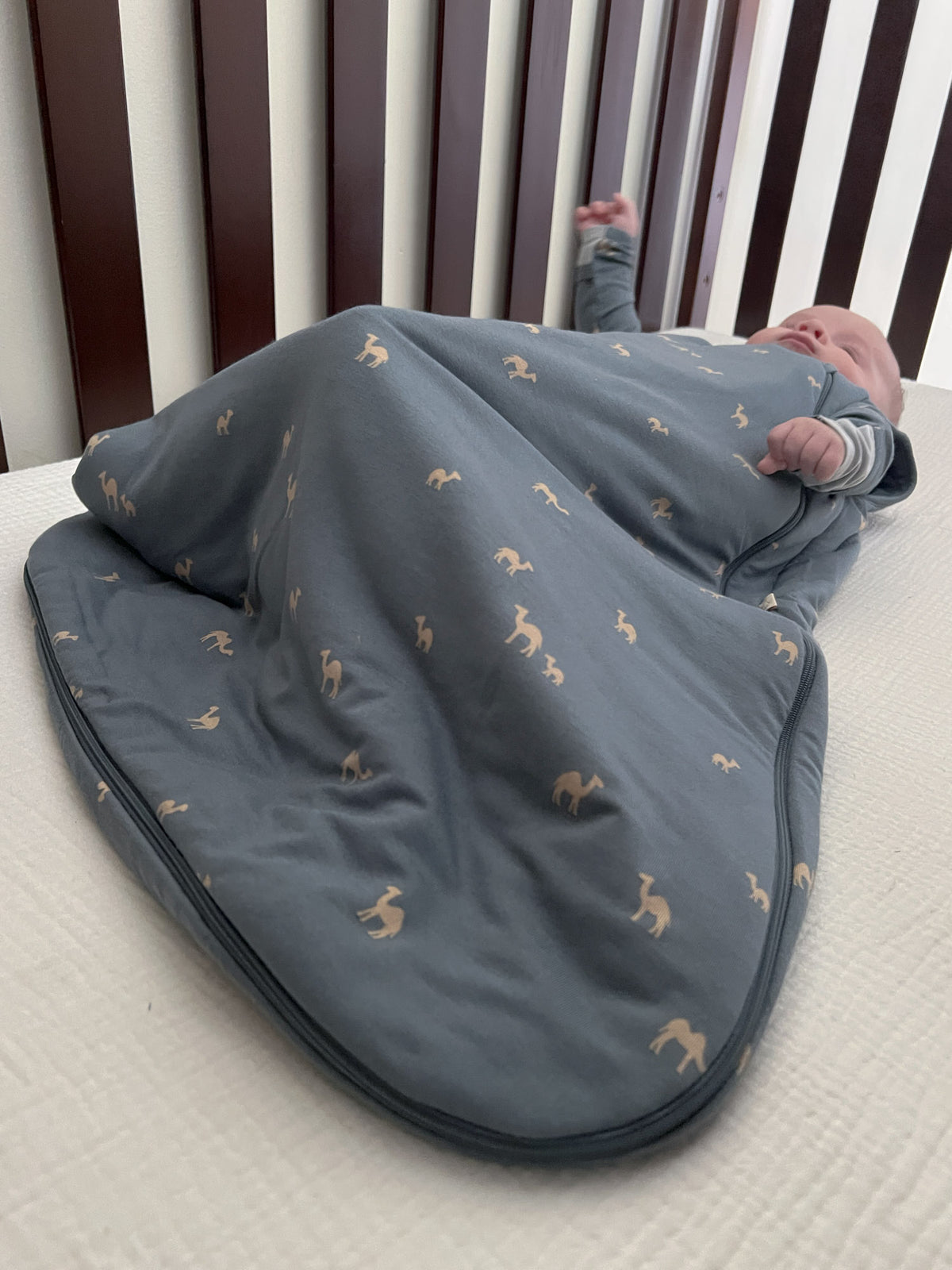 Gray sleep sack with yellow camel print, zippered foot opening