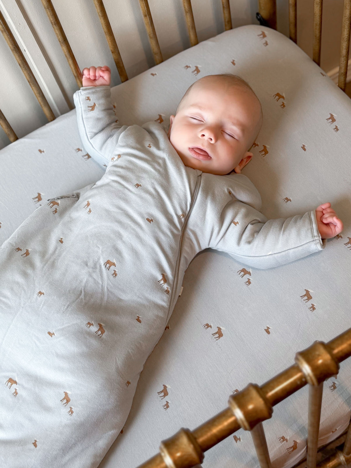 Light gray baby long-sleeve swaddle sack with tiny moose print and front zipper