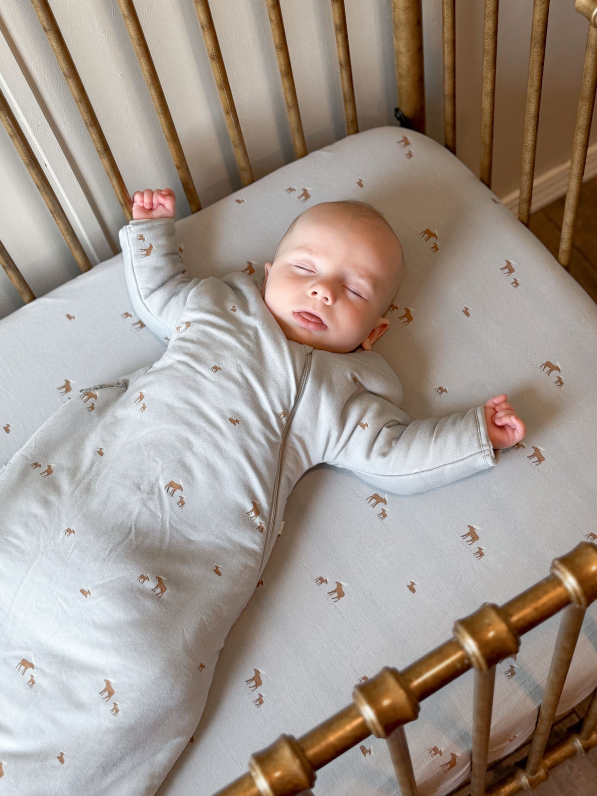 Light gray crib sheet with moose pattern, baby lying on it