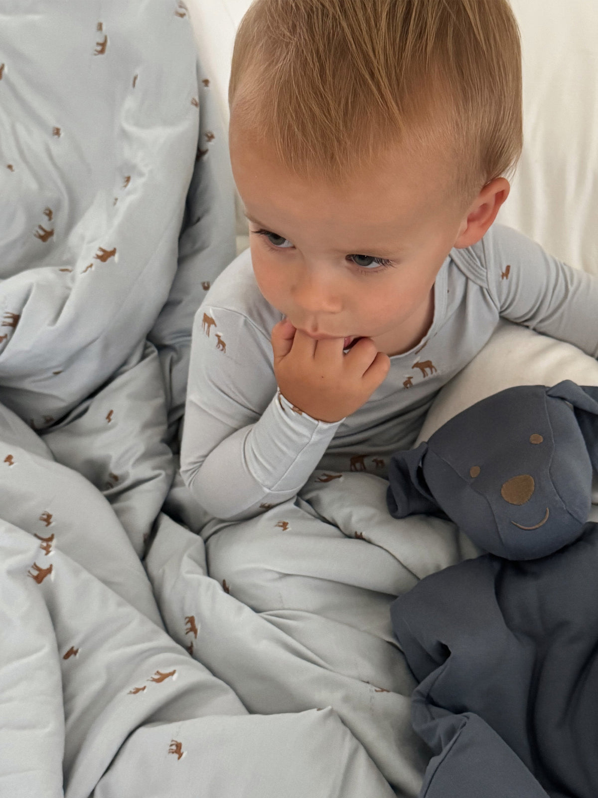 Light gray baby blanket with moose print, toddler holding the blanket edge.