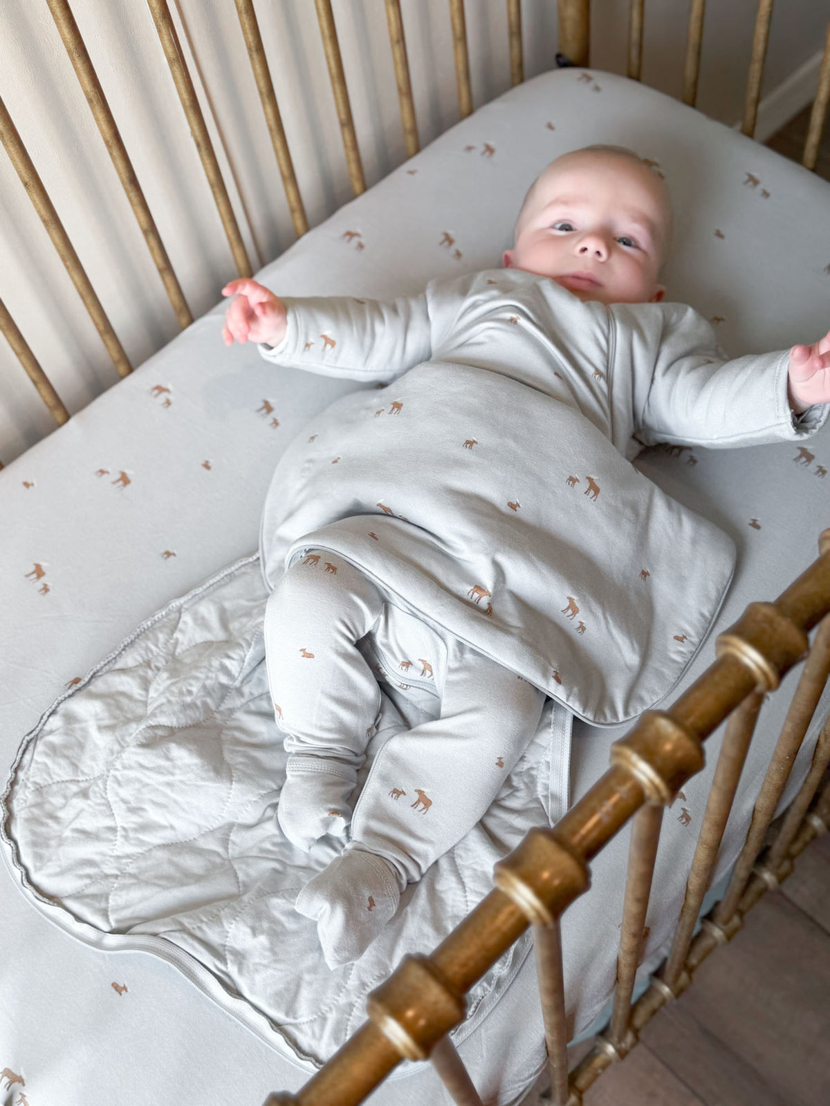 Light gray baby swaddle sack, long sleeves, allover moose pattern, open leg area