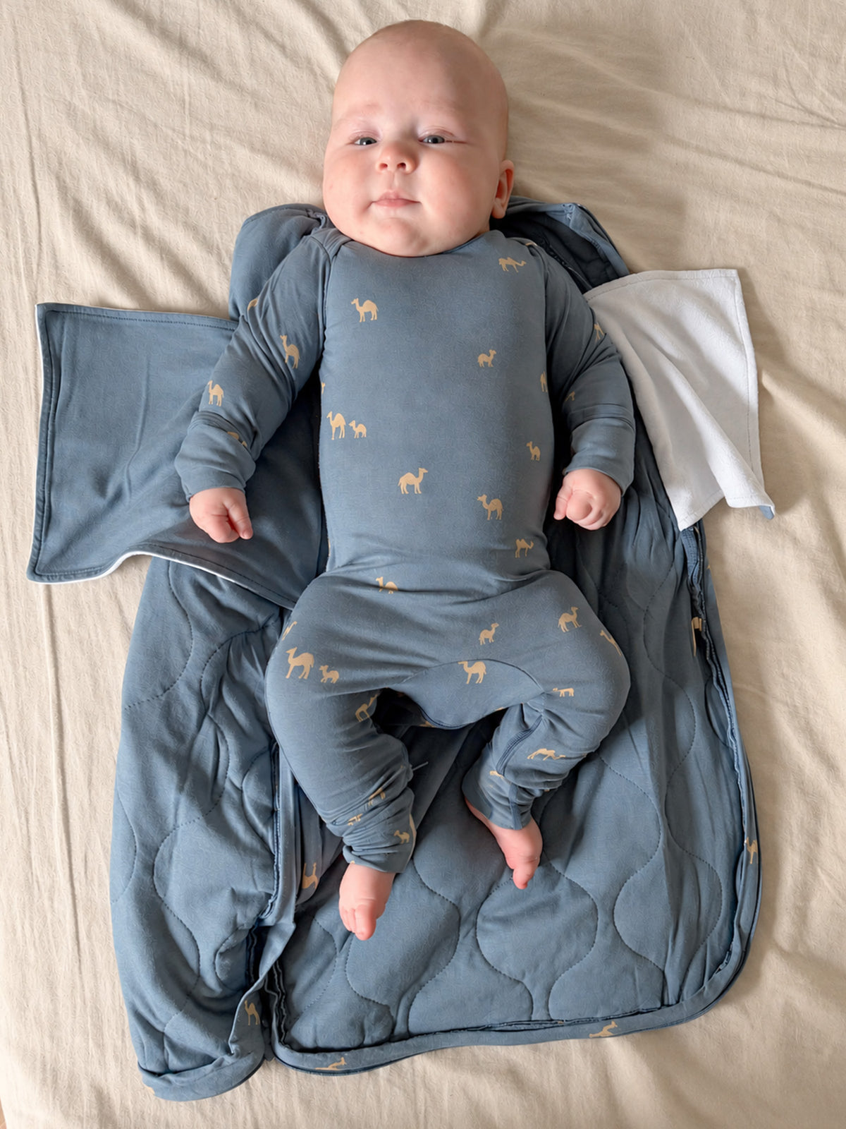 Blue 2.5 TOG swaddle sleep sack with camel print, baby lying on back