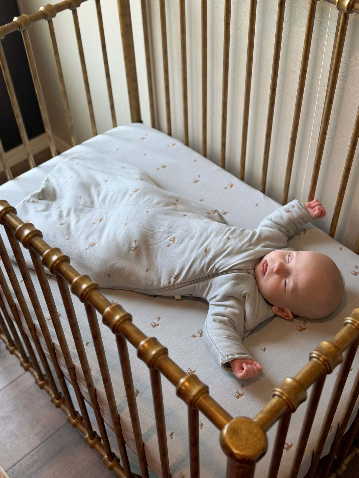 Light gray swaddle sack with long sleeves and moose print, baby lying on back