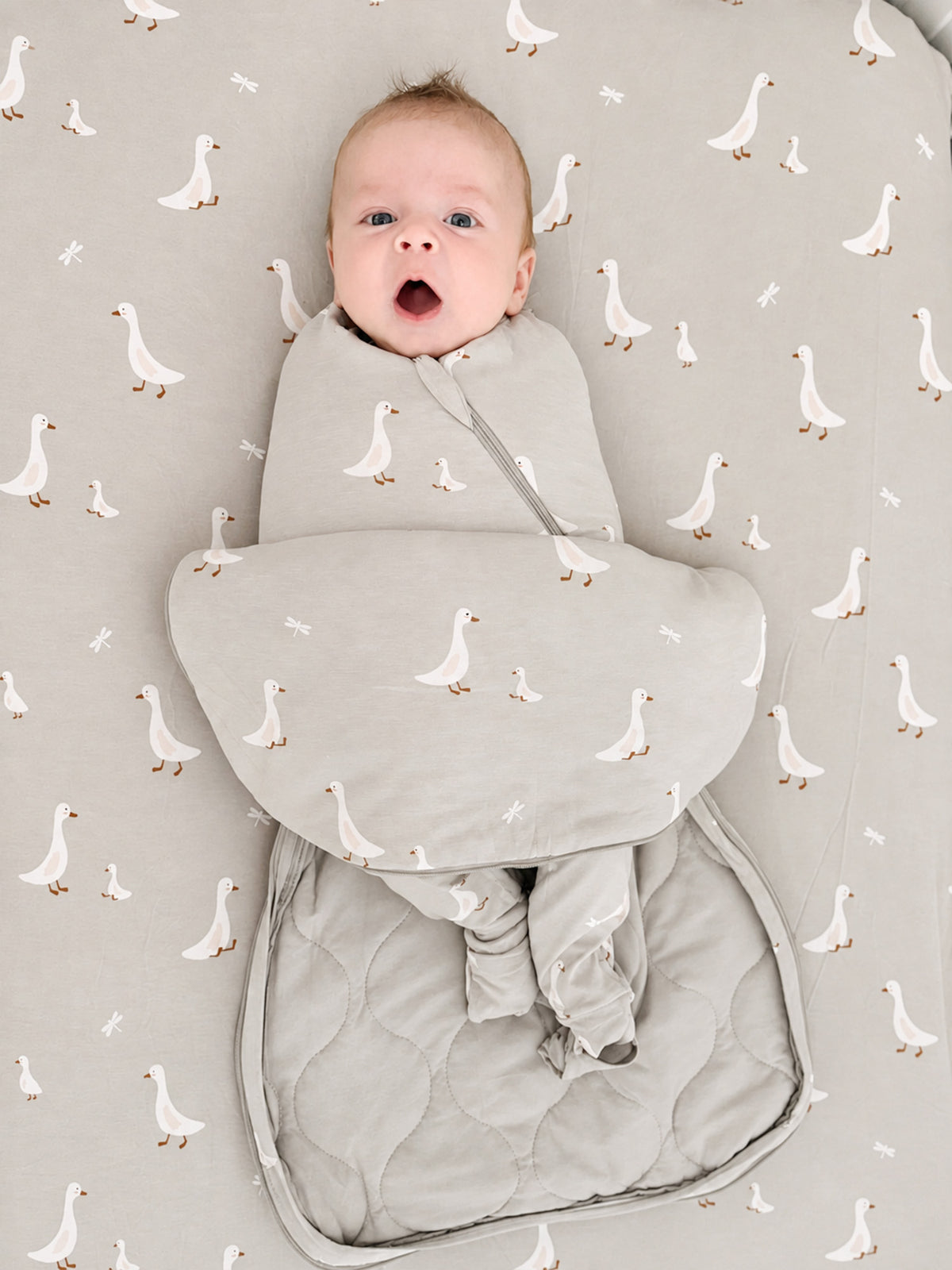 2.5 TOG swaddle sleep sack with white goose print, front zipper, cream